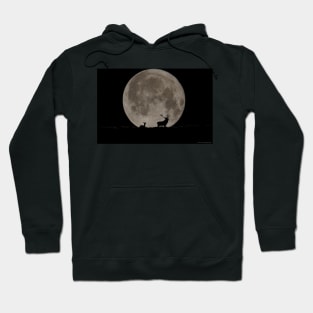 stags moon silhouette Hoodie